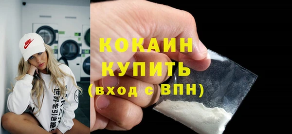 индика Кукмор