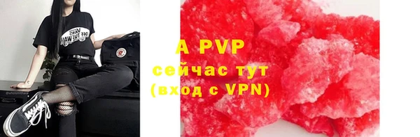 индика Кукмор