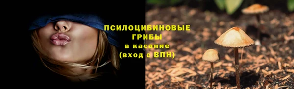 индика Кукмор
