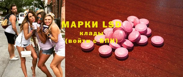 индика Кукмор