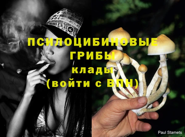 герыч Кулебаки
