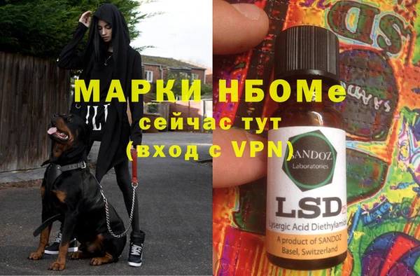 индика Кукмор