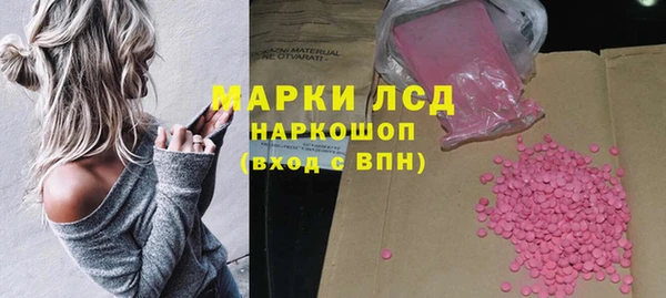 индика Кукмор